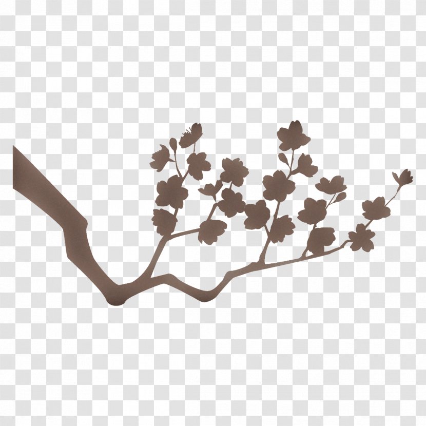 Cherry Blossom - Branch - Twig Beige Transparent PNG