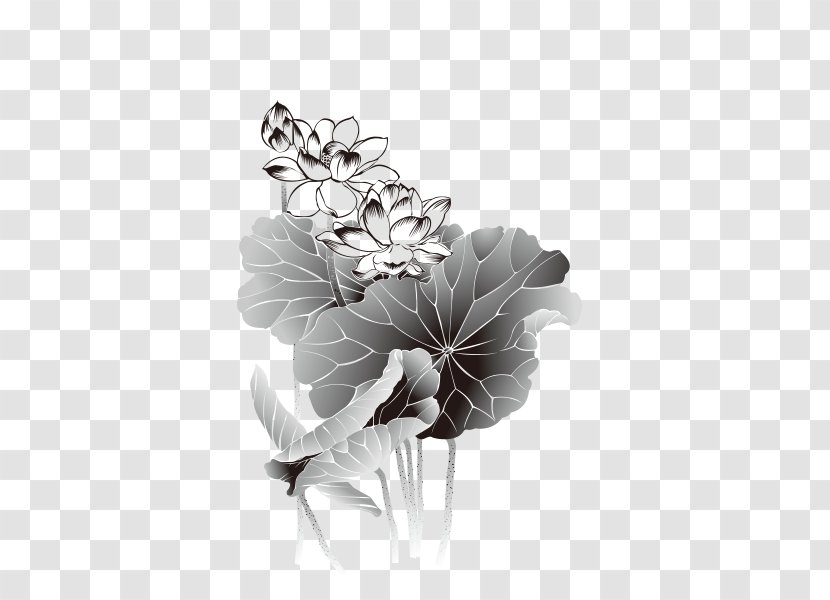Lotus Nelumbo Nucifera - Visual Arts - Leaf Transparent PNG