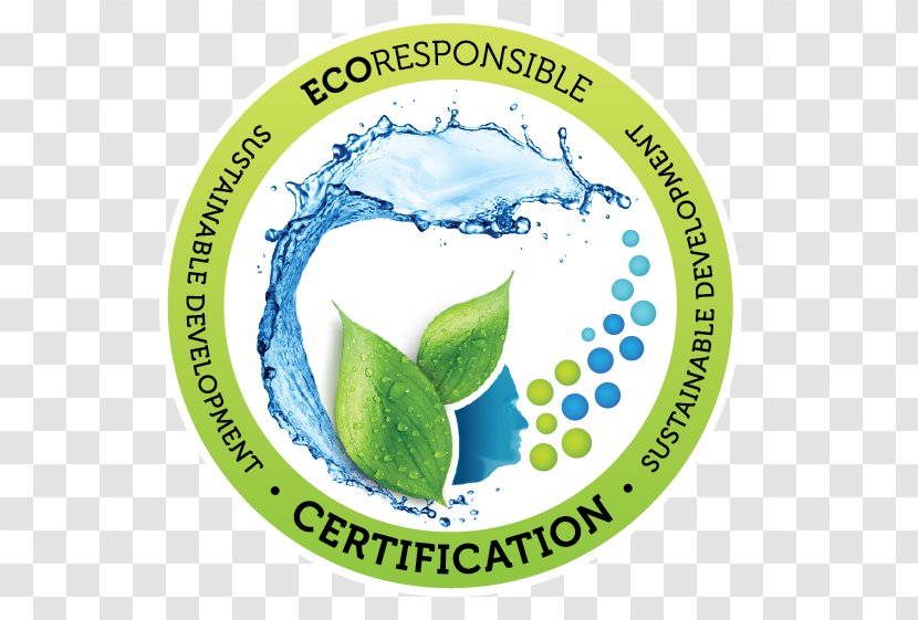 Environmentally Friendly Certification Empresa Sustainable Development Organization - Manufacturing - Recyclable Resources Transparent PNG