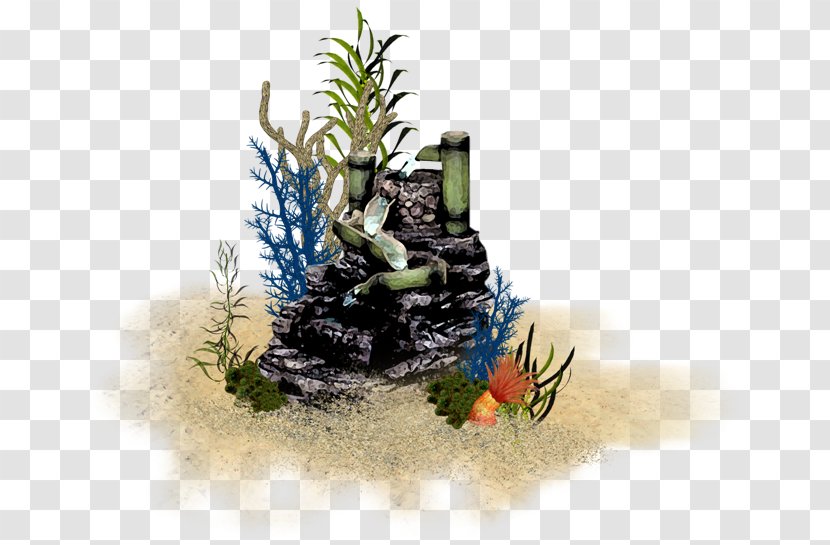 Download Clip Art - Plant - Sea Transparent PNG