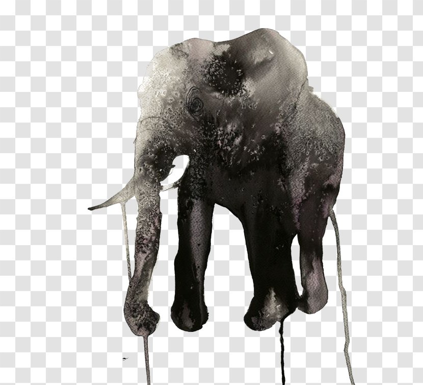 Wonderwall AB Watercolor Painting Illustrator Art Illustration - Tusk - Elephant Transparent PNG