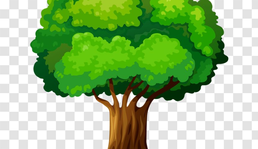 Clip Art Vector Graphics Trees And Leaves Illustration - Royaltyfree - Tomte Axe Tree Transparent PNG
