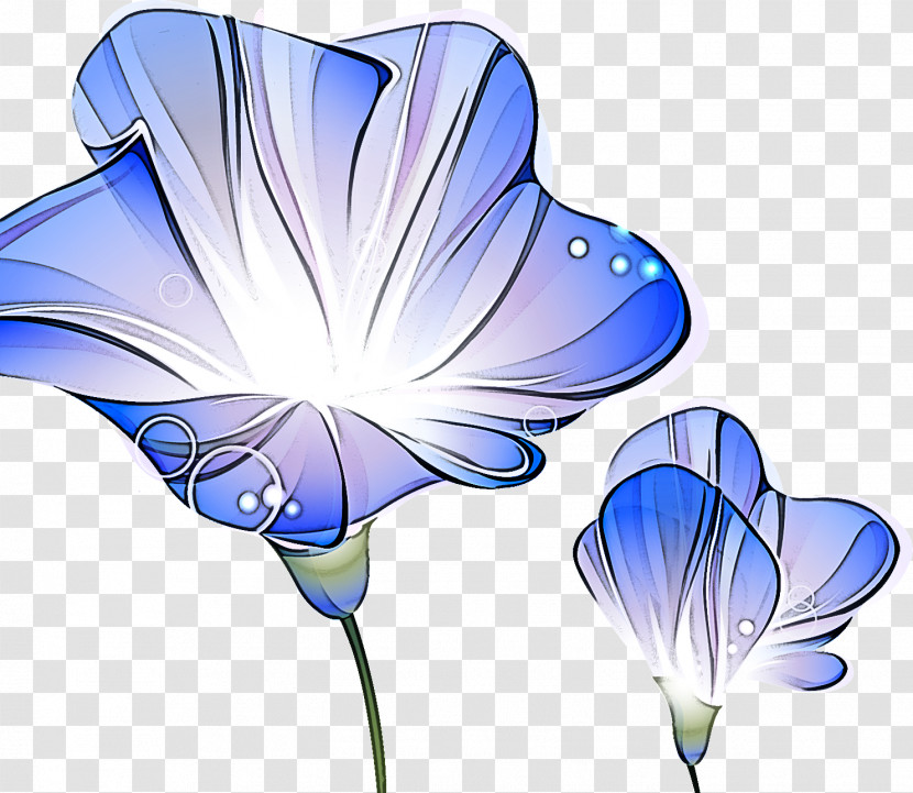 Morning Glory Summer Flower Transparent PNG