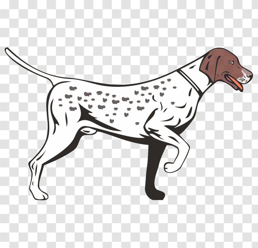 German Shorthaired Pointer Longhaired Vizsla Wirehaired - Dog Like Mammal - Stock Photography Transparent PNG