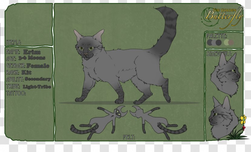 Kitten Korat Whiskers Cartoon - Small To Medium Sized Cats Transparent PNG