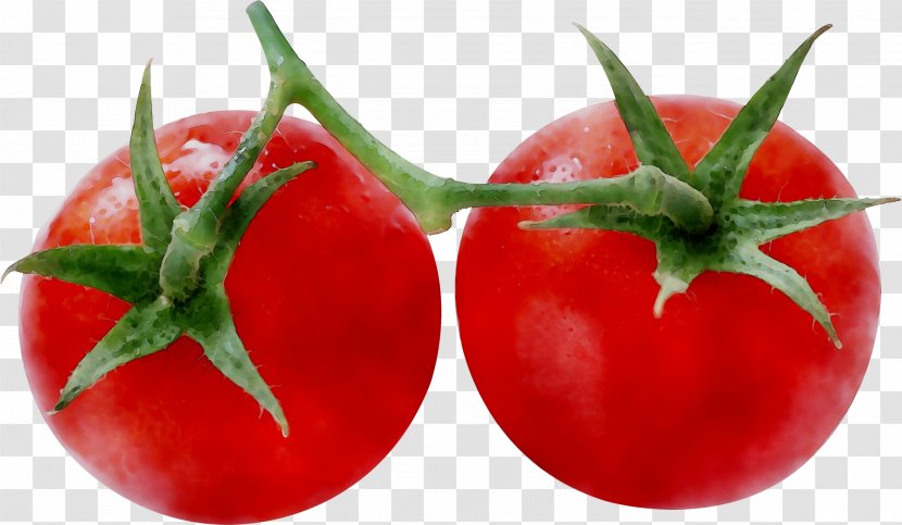 Plum Tomato Image Transparency - Fruit Transparent PNG