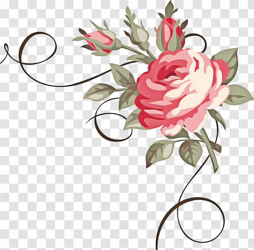 Pink Flowers Background - Plant Stem - Floristry Transparent PNG