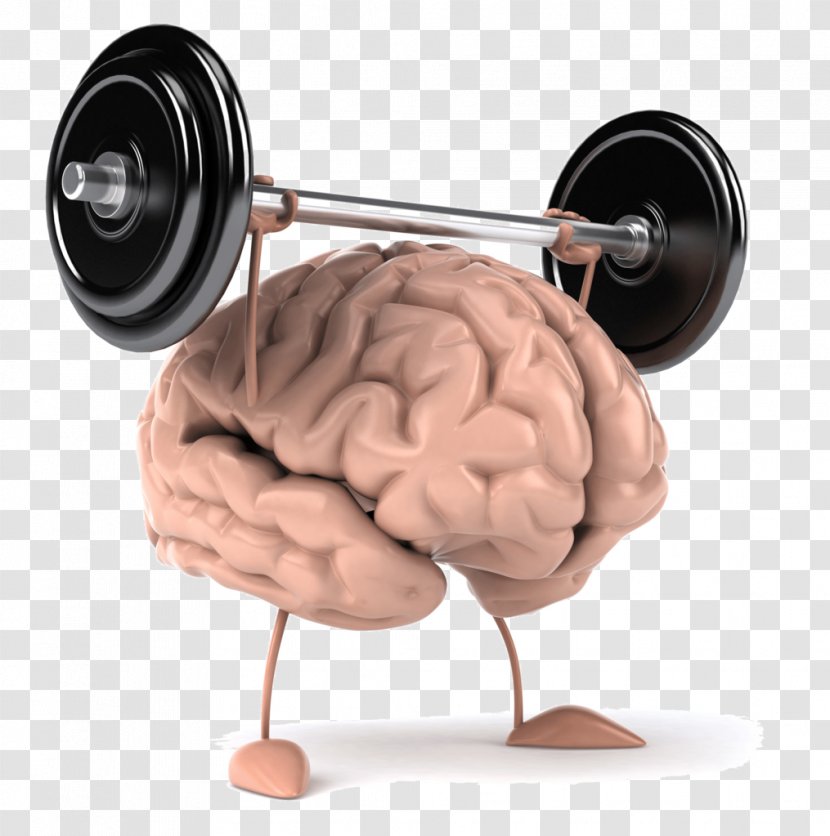 Weight Training Brain Exercise Olympic Weightlifting Strength - Watercolor Transparent PNG