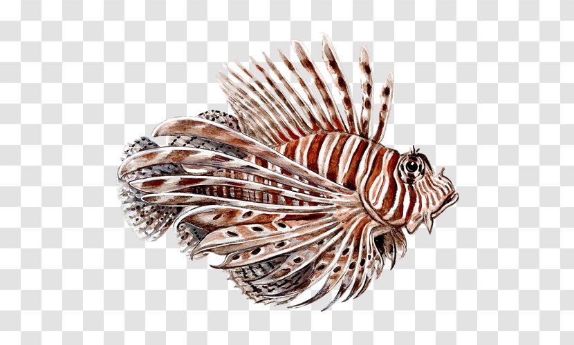 Red Lionfish Spotfin - Coral Reef Fish - Lion Transparent PNG