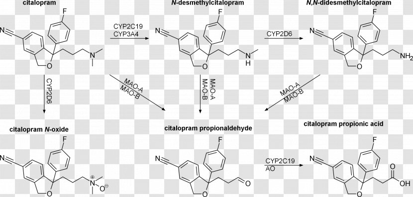 Tetrahydrofuran Car Technology White - Metabolism Transparent PNG