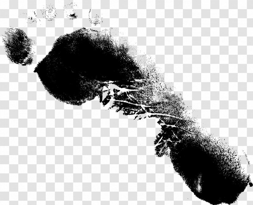 Monochrome Photography Black And White - Footprints Transparent PNG
