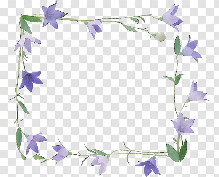 Watercolor Background Frame - Morning Glory - Delphinium Wildflower Transparent PNG