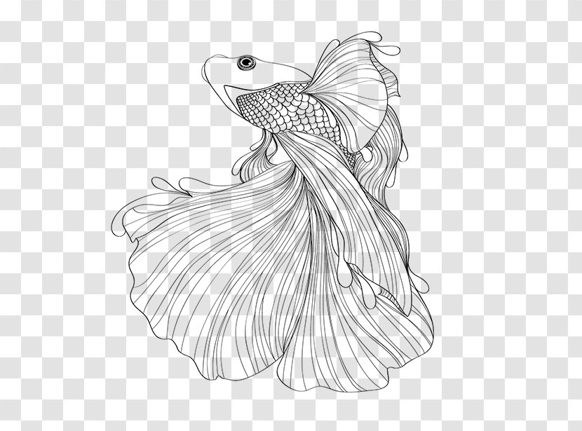 Siamese Fighting Fish Goldfish Drawing Sketch - Animal Transparent PNG