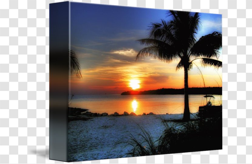 Sky Plc - Dawn - Beach Sunset Transparent PNG