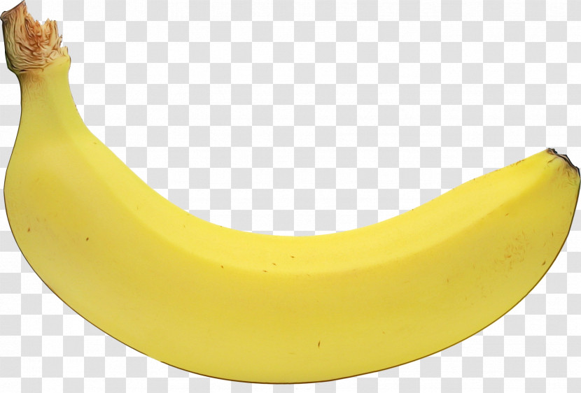 Banana Family Banana Yellow Cooking Plantain Fruit Transparent PNG