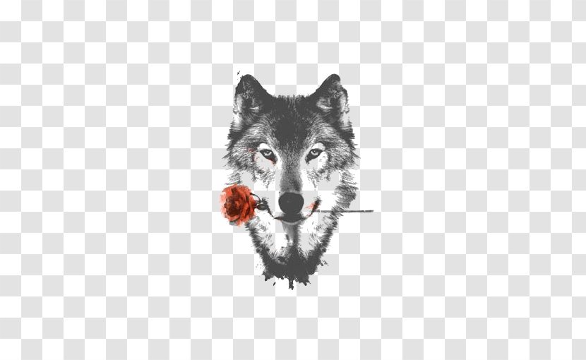 Arctic Wolf HTC Desire HD High-definition Video Display Resolution Wallpaper - Coyote - Sketch Gray Transparent PNG