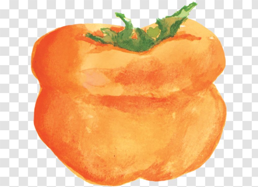 Vegetarian Cuisine Persimmons Food - English Watercolour Painting - Persimmon Transparent PNG