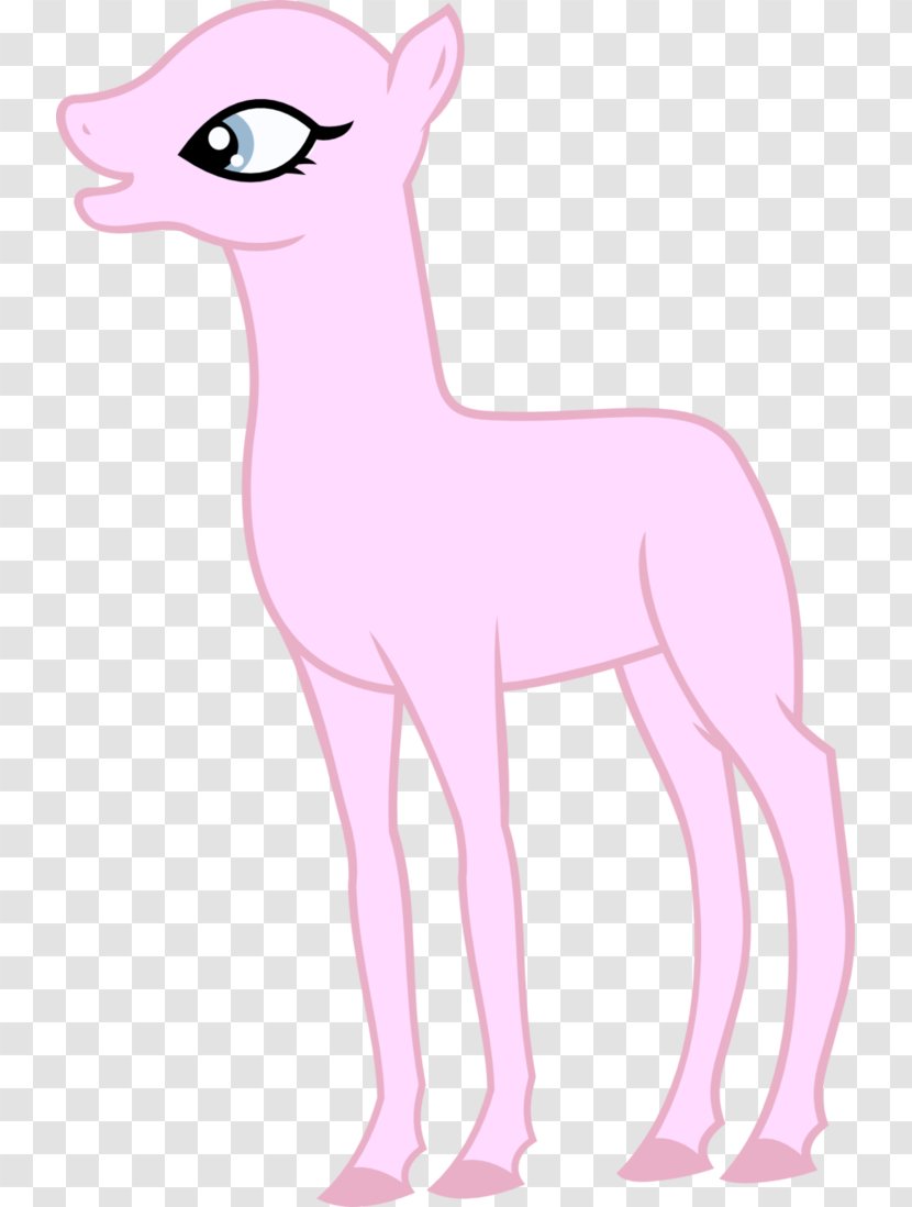 Pony Arabian Horse Mare Mustang Stallion - Cartoon Transparent PNG