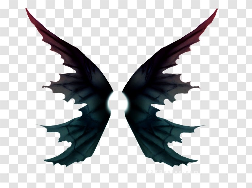 Butterfly Wing Raster Graphics - Moths And Butterflies Transparent PNG