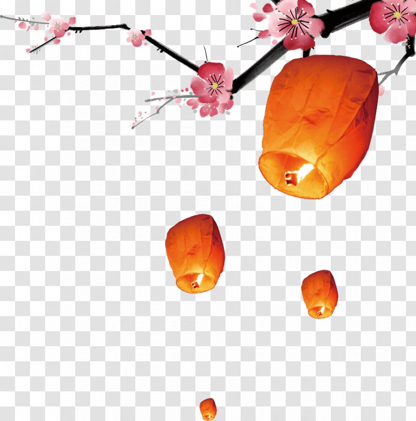 Lantern Festival Chinese New Year Image - Red - 14 Juillet Transparent PNG