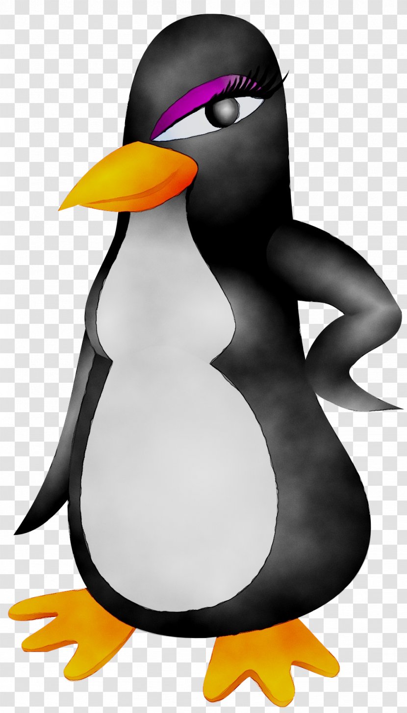 Emperor Penguin Clip Art Image Vector Graphics - Humour - Girl Transparent PNG