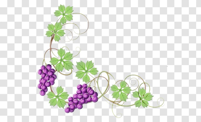 Grape Leaf Grapevine Family Leaves Flower - Flowering Plant Purple Transparent PNG