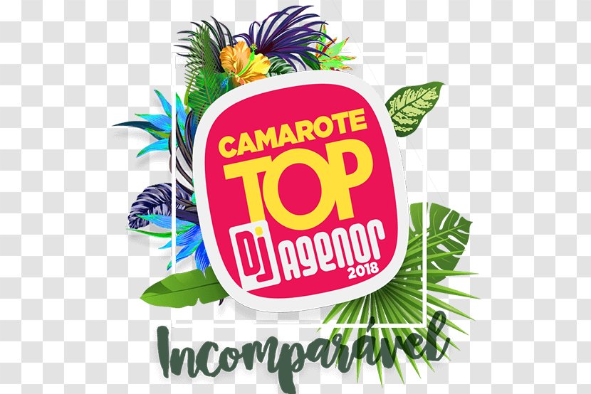 Camarote DJ Agenor (Micareta De Feira Santana) Square Meter - 2018 Dj Party Transparent PNG