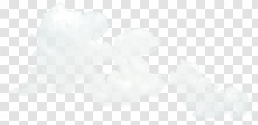 White Desktop Wallpaper Computer H&M Font - Flower Transparent PNG