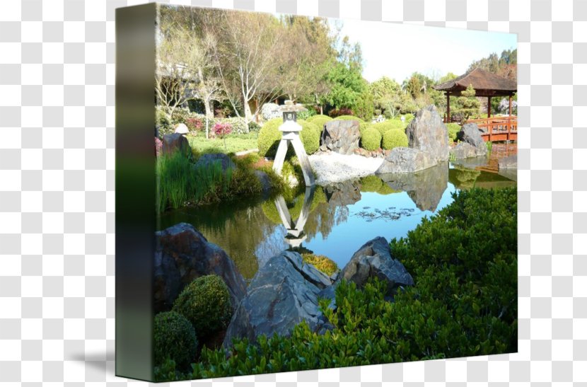 Fish Pond Water Resources Feature Botanical Garden - Landscape - Grass Transparent PNG