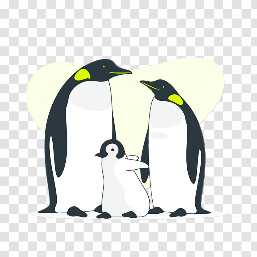 Penguins King Penguin Birds Drawing Transparent PNG