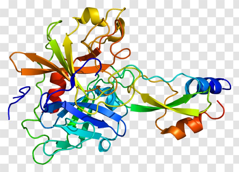 SPINT1 Chemical Reaction Enzyme Kunitz Domain Protease Inhibitor - Artwork - Solvent In Reactions Transparent PNG