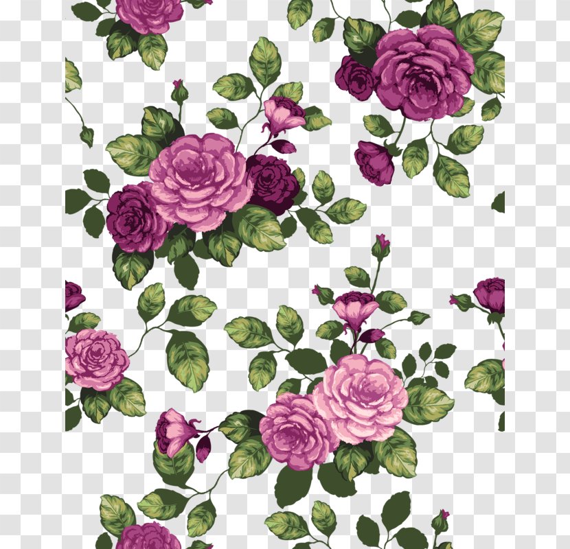 Garden Roses - Flower - Floral Design Purple Transparent PNG