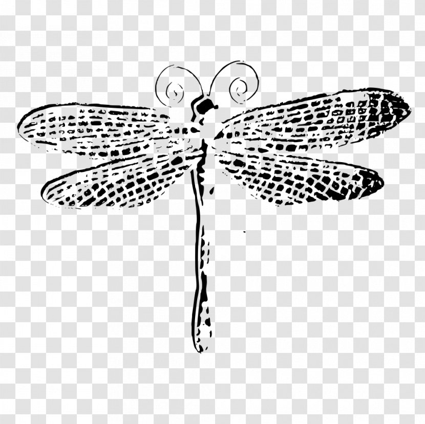Butterfly Drawing Clip Art - Flower - Dragonfly Transparent PNG