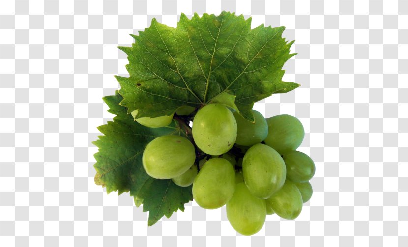 Wine Grapevines Sultana Food - Grape Transparent PNG