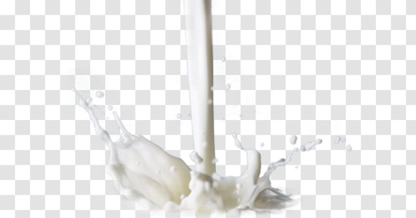 Dairy Products - Product - Design Transparent PNG