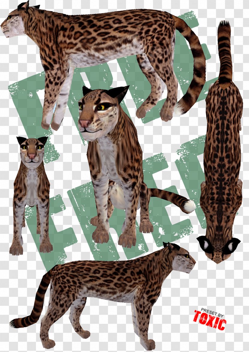 Big Cat Ocelot Cheetah Terrestrial Animal Transparent PNG