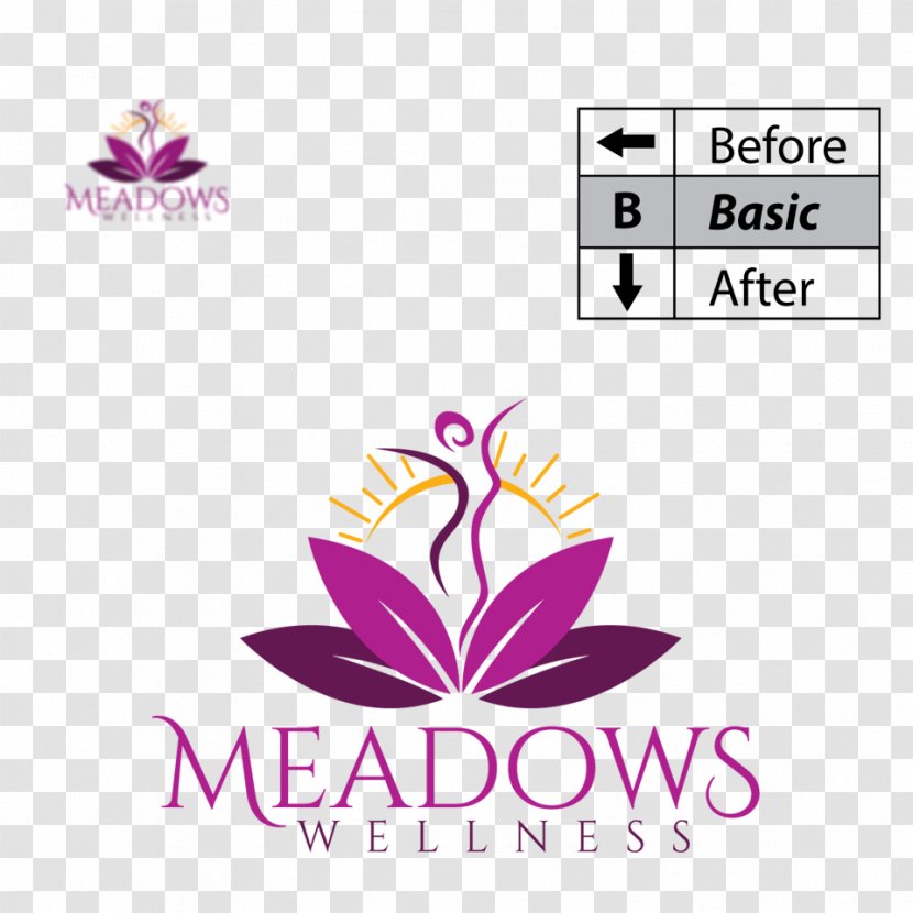 Meadows Wellness Beauty Parlour Abdomen Laser Hair Removal - Yacth Transparent PNG