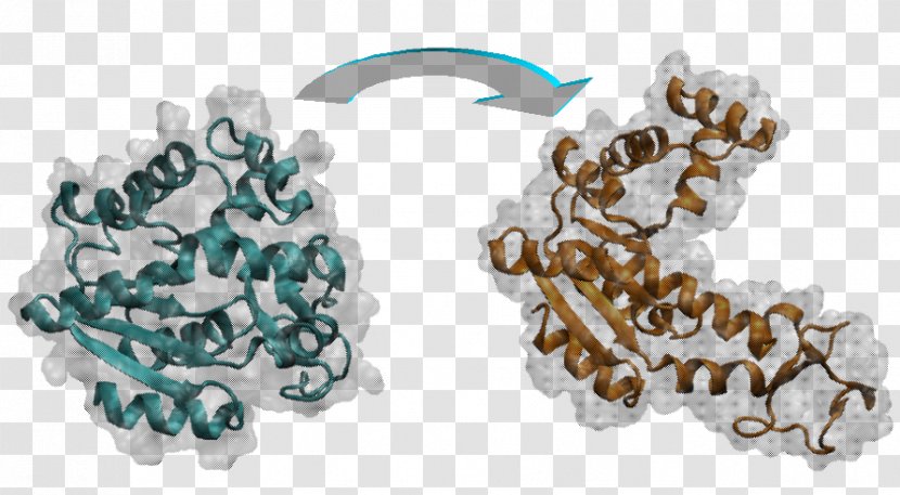 Molecular Dynamics Genome Bioinformatics RNA-targeting Small Molecule Drugs - Body Jewelry - Coarse Grains Transparent PNG