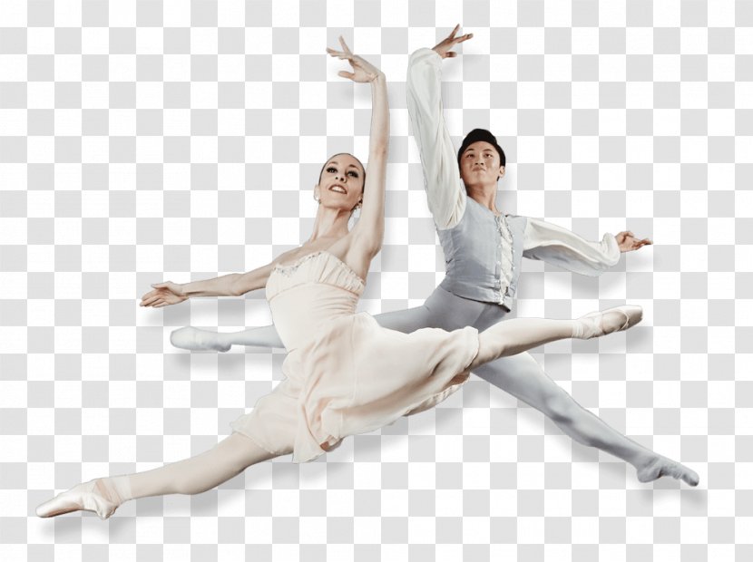 Ballet Dancer Choreographer Performing Arts - Cartoon Transparent PNG
