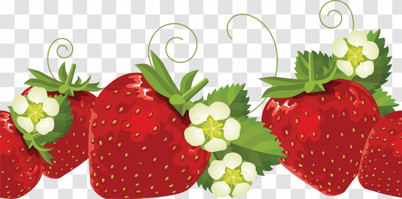 Strawberry Borders And Frames Shortcake Clip Art - Fruit Preserves Transparent PNG