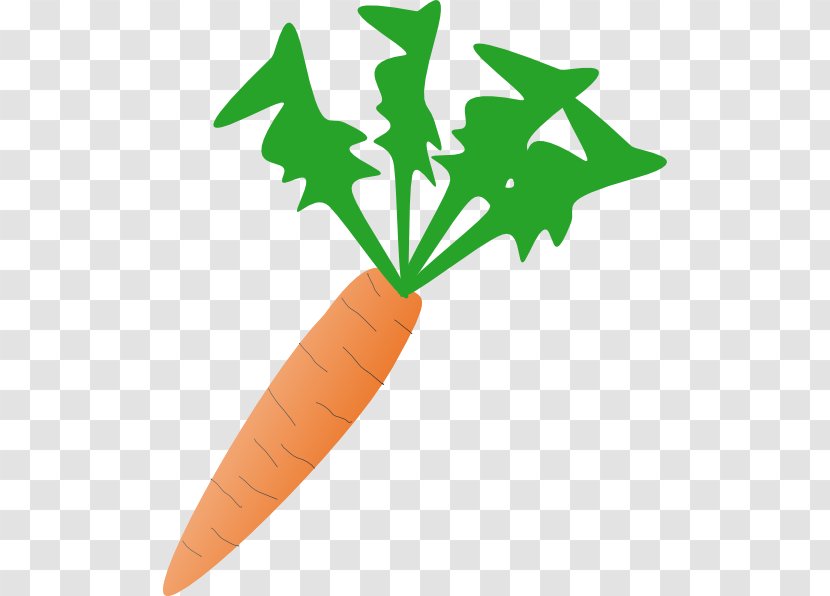 Carrot Vegetable Free Content Clip Art - Stockxchng - Celery Cliparts Transparent PNG