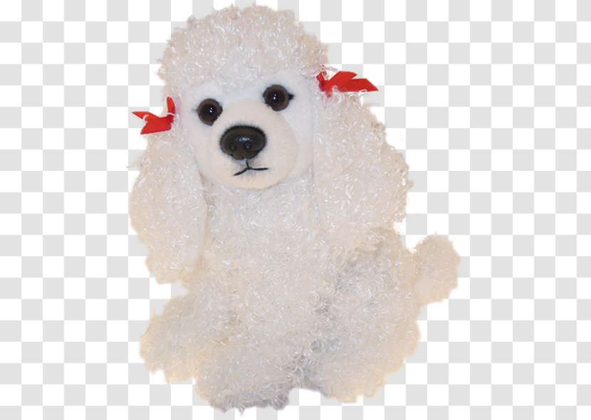Standard Poodle Miniature Toy Maltese Dog Puppy - Stuffed Transparent PNG