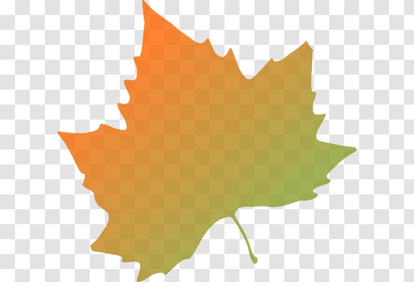 Platanus Orientalis Autumn Leaf Color Clip Art - Fall Cartoon Transparent PNG