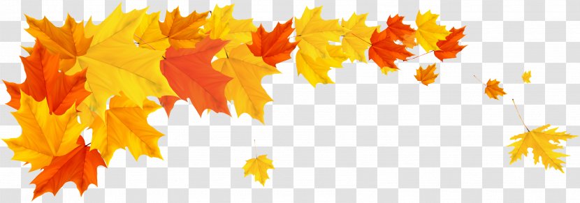 Autumn Cartoon - Yellow - Plant Maple Transparent PNG