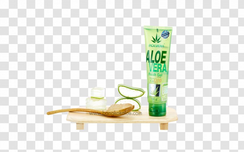 Aloe Vera ร้านริชชี่ ริชชี่บิวตี้ สุราษฎร์ธานี Richybeauty Gel Coenzyme Q10 Talad Mai Road - Vitamin - ​​aloe Transparent PNG