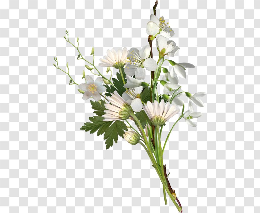 Flower Bouquet Cut Flowers Chrysanthemum Clip Art - Floral Design Transparent PNG