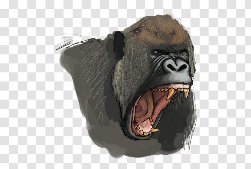 Common Chimpanzee Western Gorilla Snout - Painting Transparent PNG