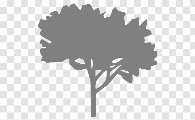 Tree Arborist - Black Transparent PNG
