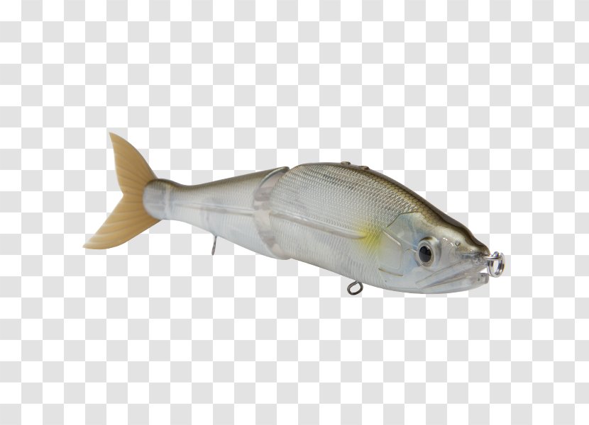 Milkfish Fishing Baits & Lures Fish Products - Venom Transparent PNG