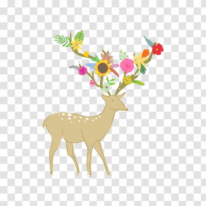 Reindeer - Tail - Wildlife Transparent PNG